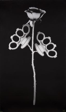 LUDO - Enjoy the violence, 2012