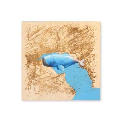 NEVERCREW - Unfolding n°2 (Luzern), 2021